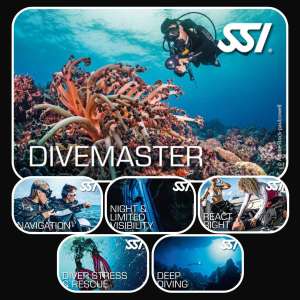 Divemaster Bundle - Deep Diving, Navigation, Night/Limited Visibility, Diver Stress & Rescue, React Right, Dive Guide / Divemaster Digital Course Materials