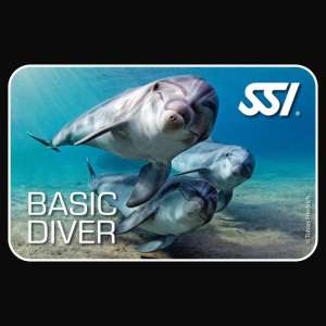 Basic Diver - Digital Course Materials