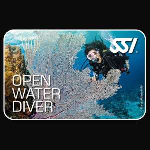 Open Water Diver - Digital Course Materials